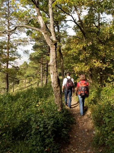 Wandern
