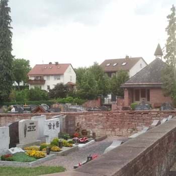 Leider haben wir keinen Alternativtext zu diesem Bild, aber wir arbeiten daran.