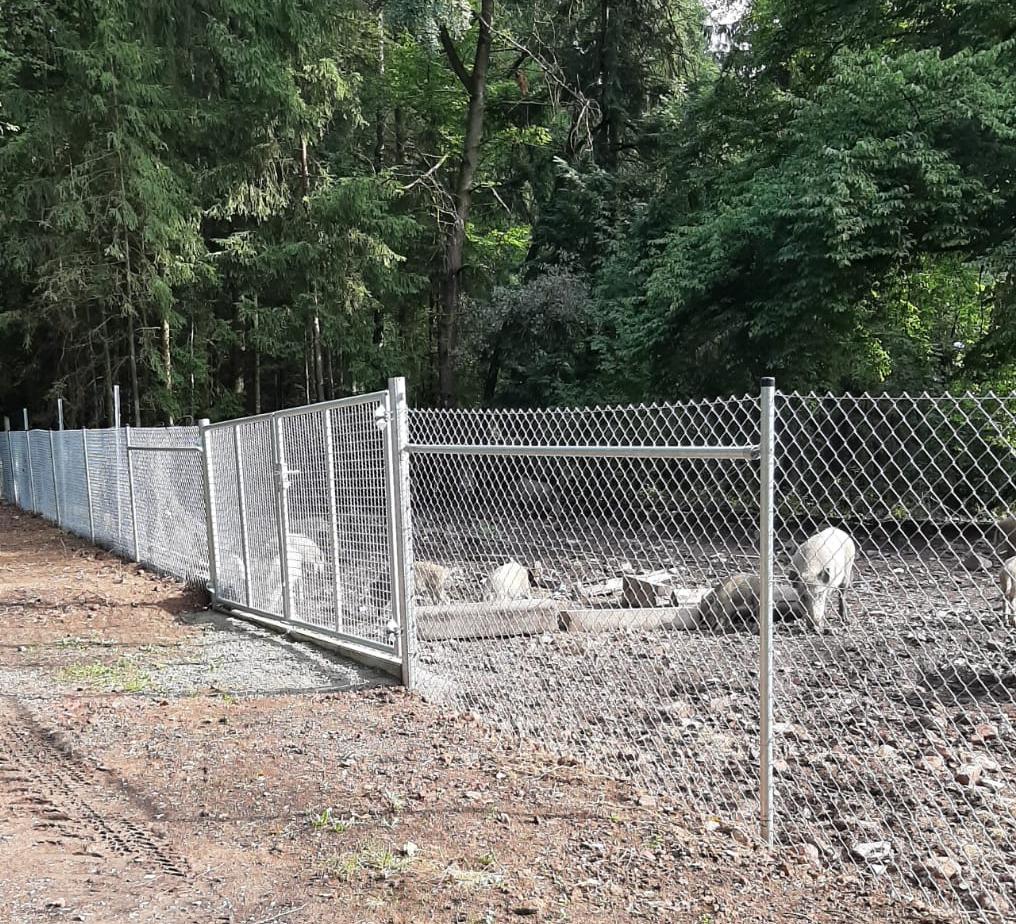 Neue Einzäunung am Wildgehege Schollbrunn